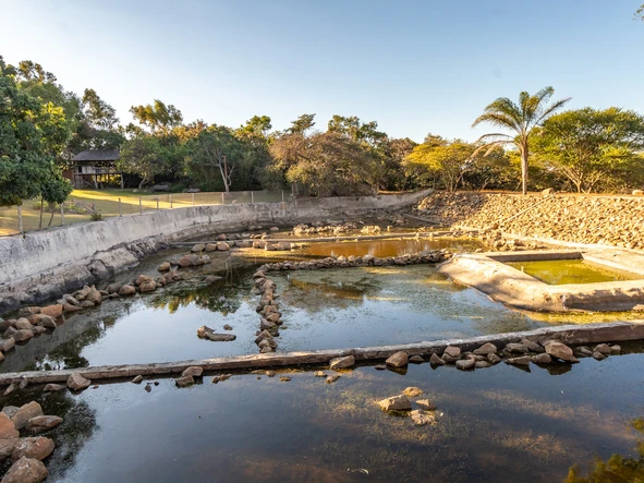 Farm & Agricultural Land