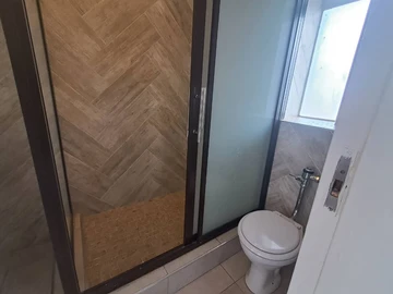 Flat & Apartment