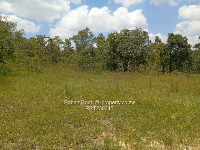 Agro-Residential Plot In Gardiner Area, Goromonzi!