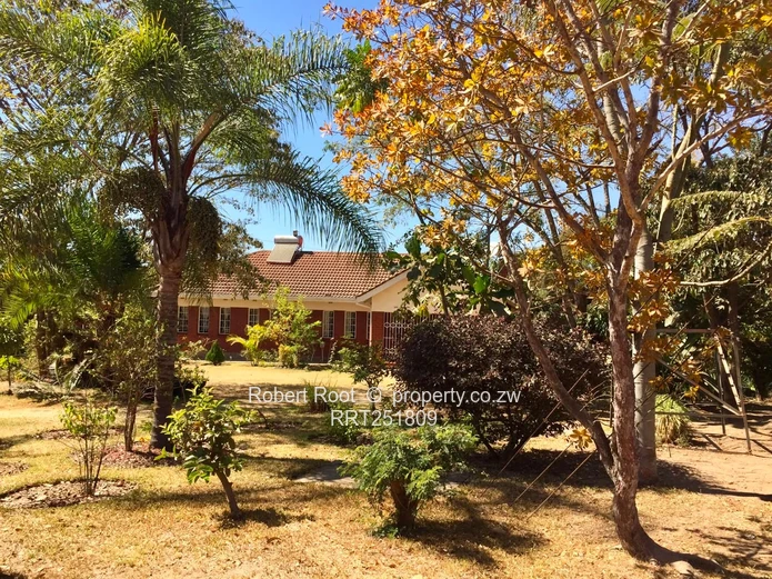  Prime 1-Acre Parktown Property with Separate Cottage