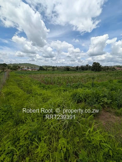 Build your dream home!