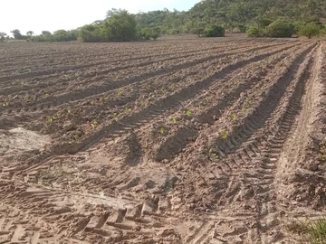Farm & Agricultural Land