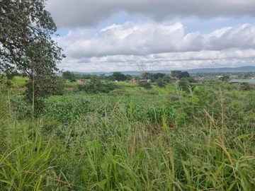 Commercial & Industrial Land