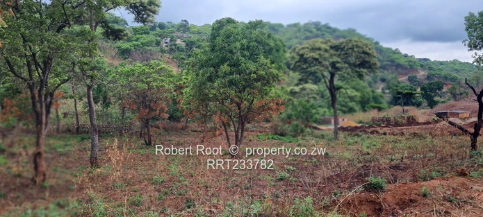 Build your dream home!