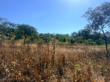 Land