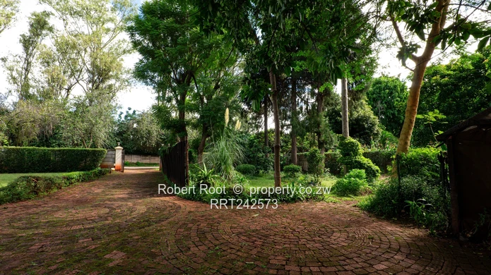 Family Home In The Heart Of Mt Pleasant (Sole Mandate)