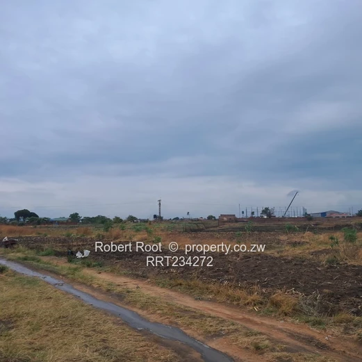 Close to Kirkman Drive (Sole Mandate)