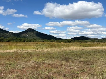 Commercial & Industrial Land