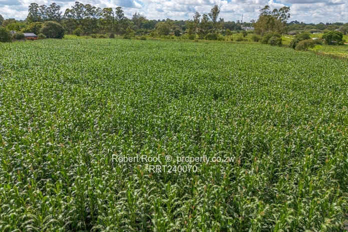 Prime Development Opportunity – Greendale 