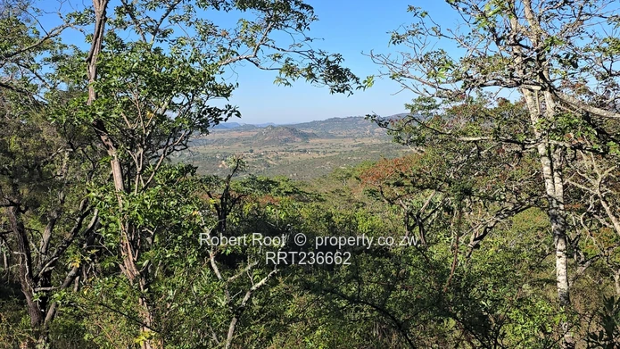 Picturesque Stand For Sale Juliasdale, Inyanga