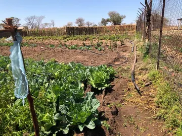 Farm & Agricultural Land