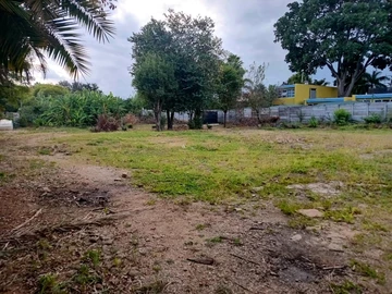 Commercial & Industrial Land