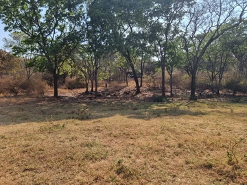 Farm & Agricultural Land