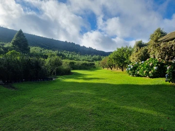 Farm & Agricultural Land