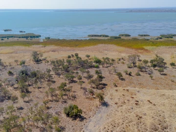 Commercial & Industrial Land
