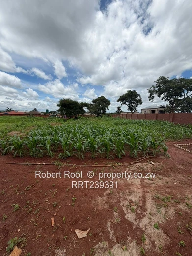 Build your dream home!