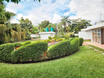 Commercial Property