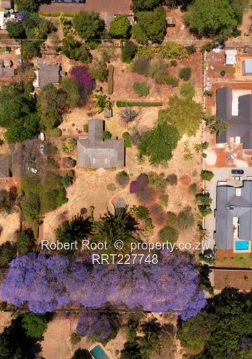 A Developers Dream. Land With Huge Potential