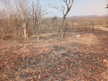 Farm & Agricultural Land