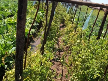 Farm & Agricultural Land