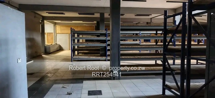 Commercial Retail Building(Formely Food World)