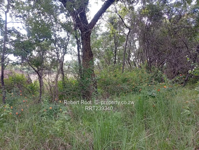 Agro-Residential Plot In Gardiner Area, Goromonzi!