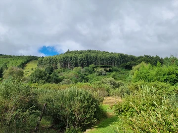 Farm & Agricultural Land