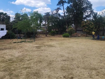 2 Bedroom Flat & Apartment