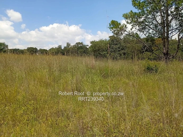 Agro-Residential Plot In Gardiner Area, Goromonzi!