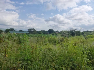 Commercial & Industrial Land