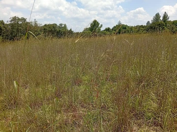 Farm & Agricultural Land