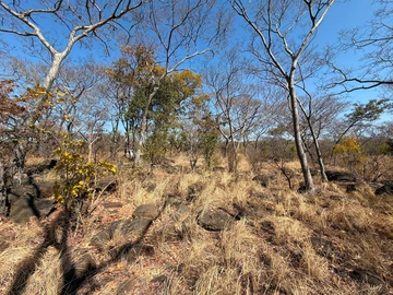 Commercial & Industrial Land