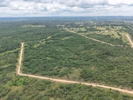 Farm & Agricultural Land