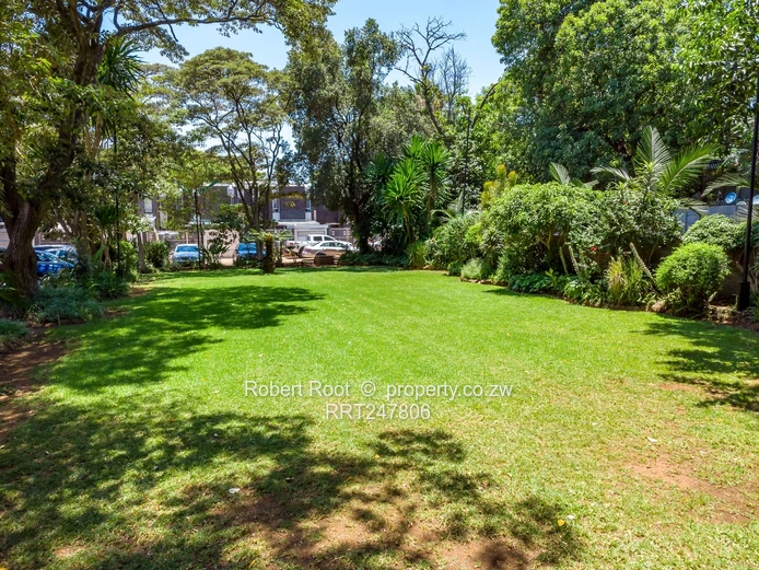 3 bed flat in Avenues