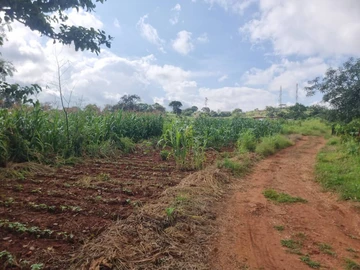 Commercial & Industrial Land