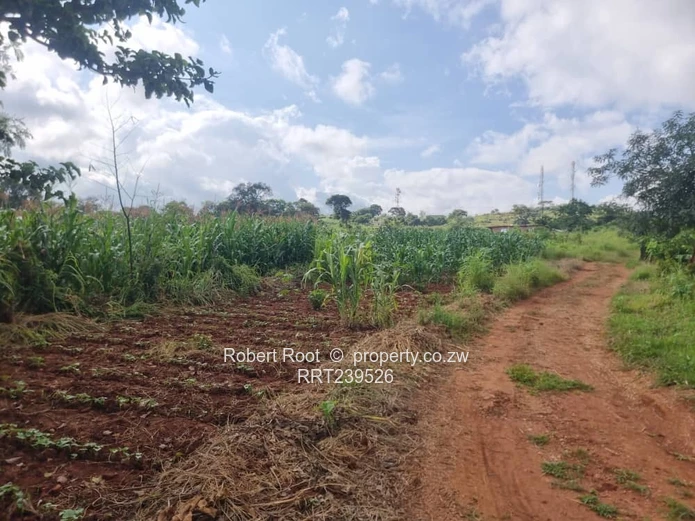 Prime Land on Chegutu Highway! 