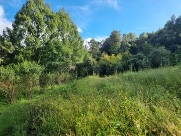 Farm & Agricultural Land