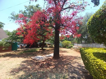 2 Bedroom Garden Flat