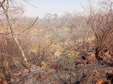 Farm & Agricultural Land