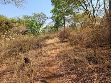 Farm & Agricultural Land