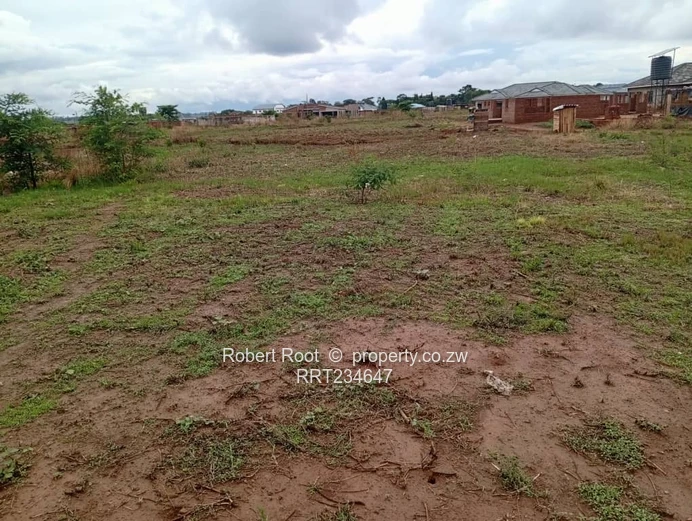 Sandton Park Stand For Sale