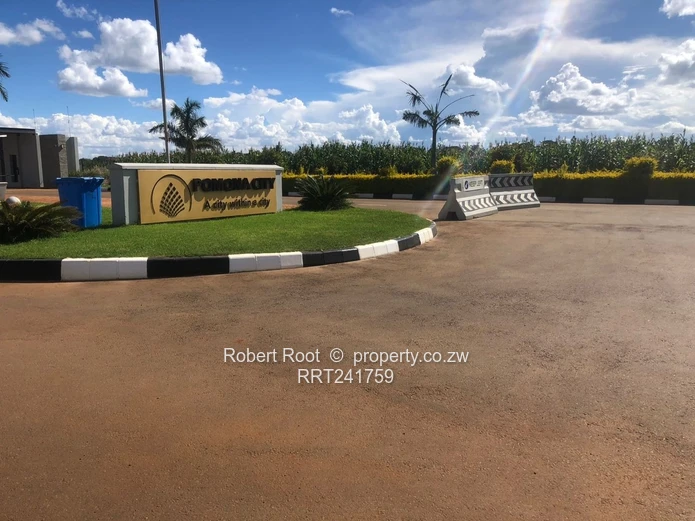 Pomona City corner stand for sale