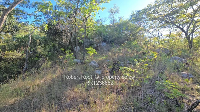 Picturesque Stand For Sale Juliasdale, Inyanga