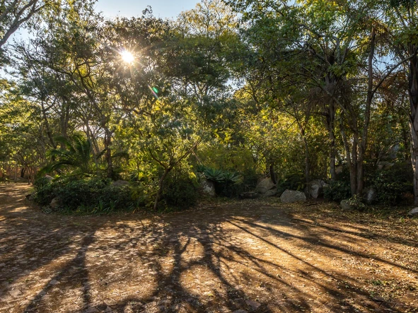 Farm & Agricultural Land