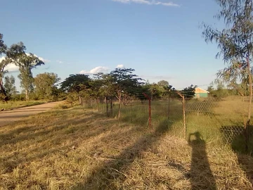 Farm & Agricultural Land