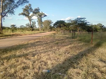 Farm & Agricultural Land