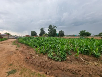 Stands & Residential Land