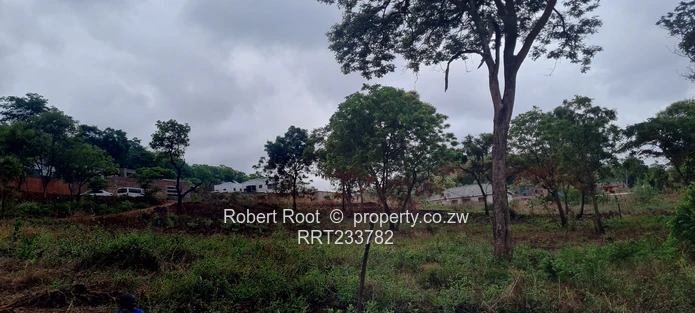 Build your dream home!