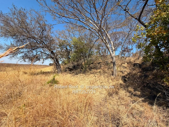 1.56ha at Darwendale with Lake View