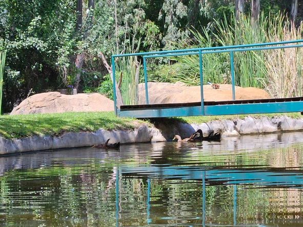 2 Bedroom Townhouse Complex